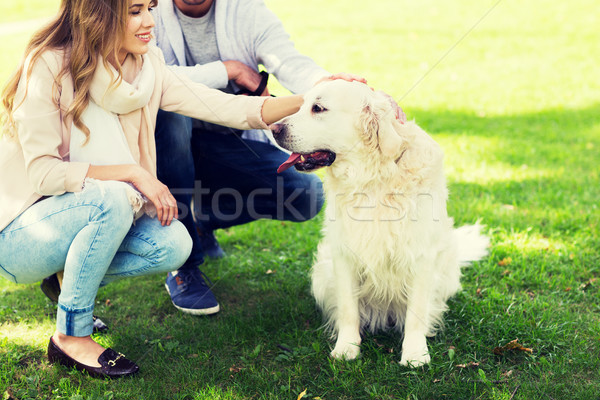 close up of couple with labrador dog outdoors Stock photo © dolgachov