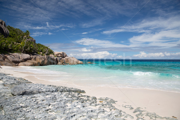 Wyspa plaży indian ocean Seszele podróży Zdjęcia stock © dolgachov