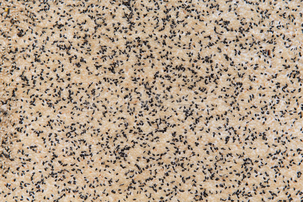 sesame seeds texture Stock photo © dolgachov