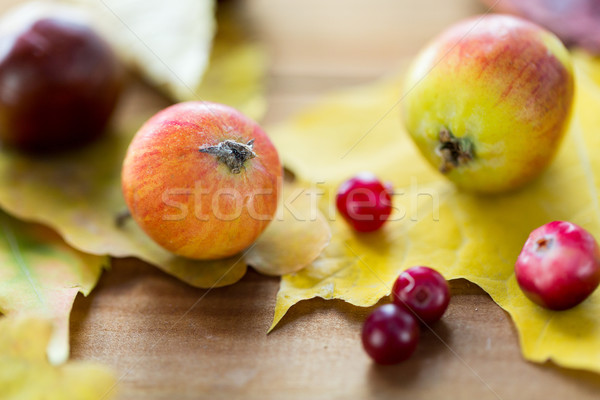 Stock photo: close up of autumn leaves, fruits and berries