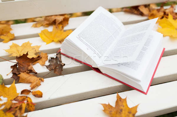 open book on bench in autumn park Stock photo © dolgachov