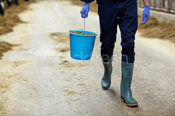 man with bucket of hay in cowshed on dairy farm Stock photo © dolgachov