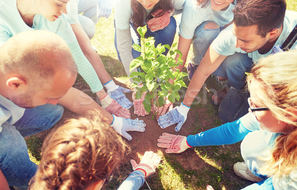 [[stock_photo]]: Groupe · bénévoles · arbre · parc · bénévolat