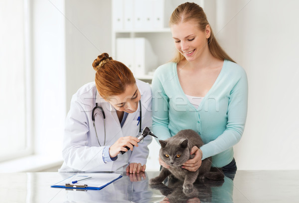 Feliz mujer gato médico veterinario clínica Foto stock © dolgachov