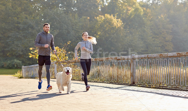 Foto stock: Feliz · casal · cão · corrida · ao · ar · livre · fitness