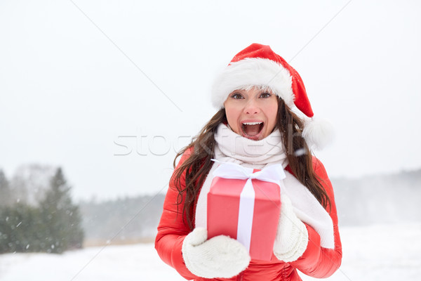 happy woman in santa hat with chrismas gift Stock photo © dolgachov