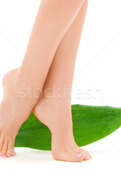 Női lábak zöld levél kép fehér nő Stock fotó © dolgachov