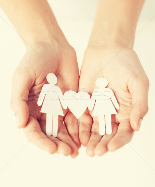 Hände Papier Frauen zwei Herzform Stock foto © dolgachov
