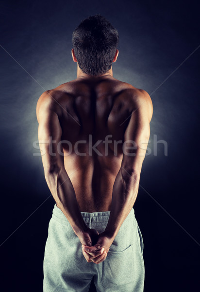 [[stock_photo]]: Jeunes · Homme · bodybuilder · Retour · sport · bodybuilding