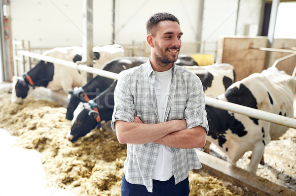 man or farmer with cows in cowshed on dairy farm Stock photo © dolgachov