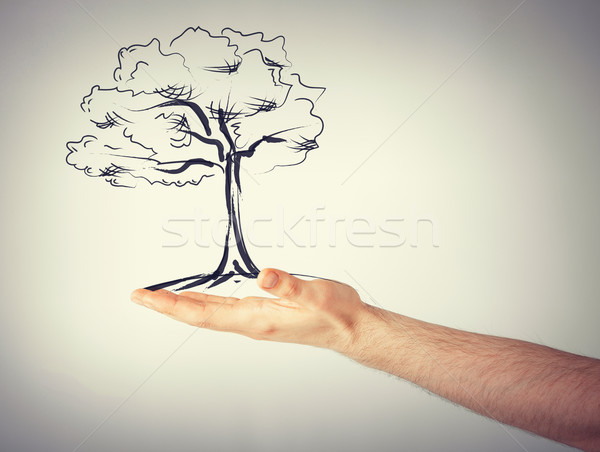 man with small tree in his hand Stock photo © dolgachov