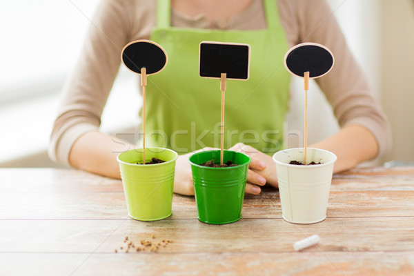 Stock photo: close up of woman over pots with soil and signs