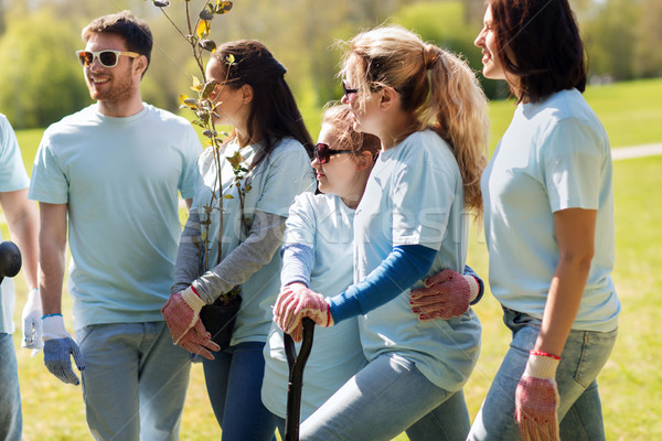 Stock photo: group of volunteers with trees and shovel in park