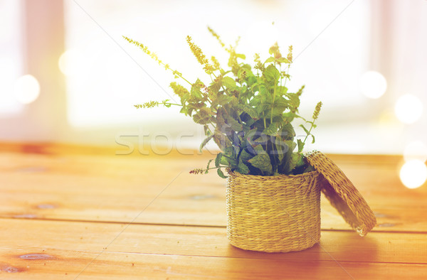 корзины деревянный стол ботаника лет садоводства Сток-фото © dolgachov