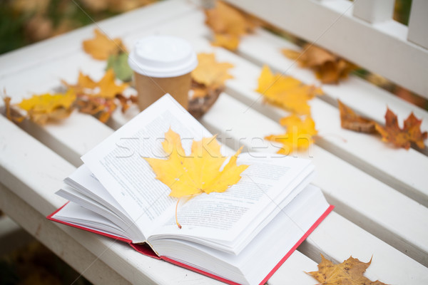 open book and coffee cup on bench in autumn park Stock photo © dolgachov