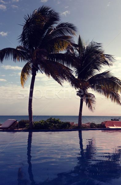 swimming pool on tropical beach Stock photo © dolgachov