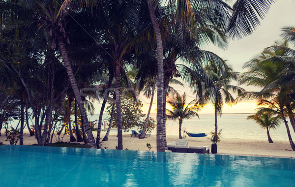 swimming pool on tropical beach Stock photo © dolgachov