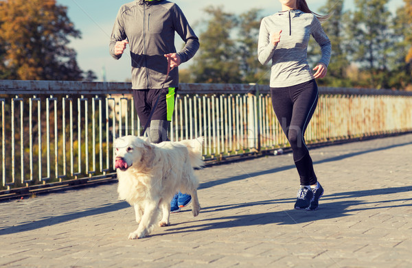 [[stock_photo]]: Couple · chien · courir · extérieur · fitness
