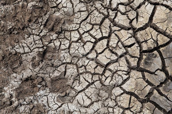 Drogen gebarsten grond oppervlak droogte ecologie Stockfoto © dolgachov