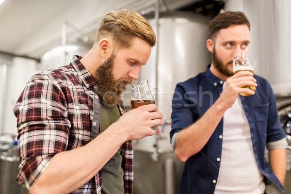 Mężczyzn pitnej testowanie piwa browar alkoholu Zdjęcia stock © dolgachov