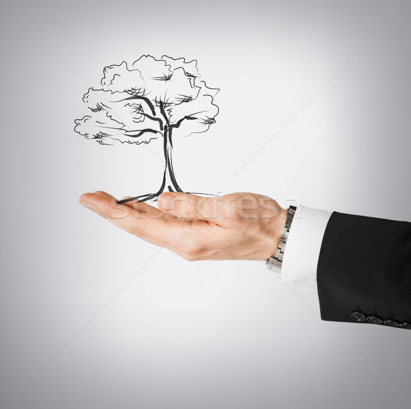 man with small tree in his hand Stock photo © dolgachov