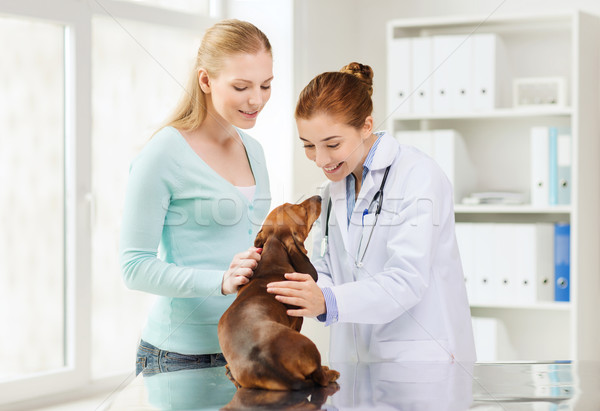Szczęśliwy kobieta psa lekarza weterynarz kliniki Zdjęcia stock © dolgachov
