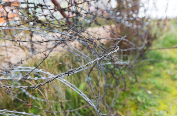 barb wire fence over gray sky Stock photo © dolgachov
