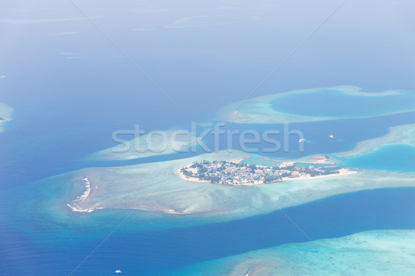 Maldive island in ocean Stock photo © dolgachov