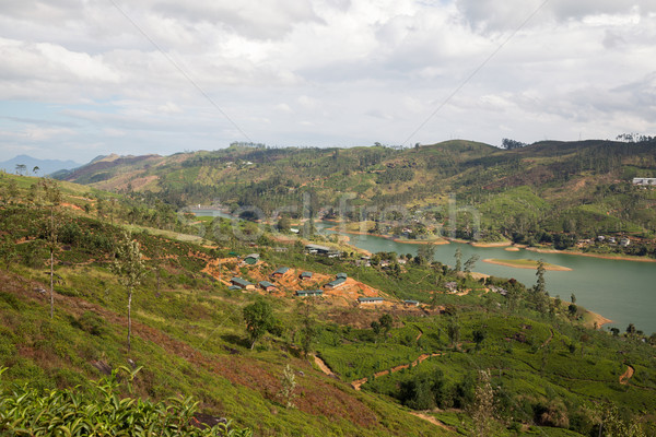 Widoku jezioro rzeki gruntów wzgórza Sri Lanka Zdjęcia stock © dolgachov