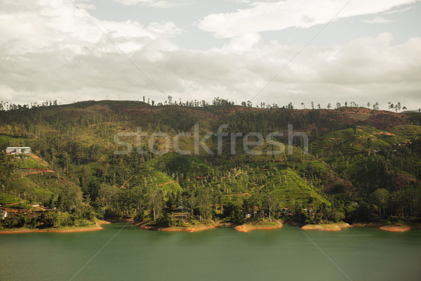 view to lake or river from land hills on Sri Lanka Stock photo © dolgachov