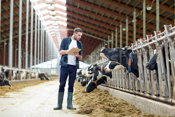 Gazda vágólap tehenek farm mezőgazdaság ipar Stock fotó © dolgachov