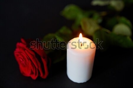 Czerwona róża palenie Świeca czarny pogrzeb żałoba Zdjęcia stock © dolgachov