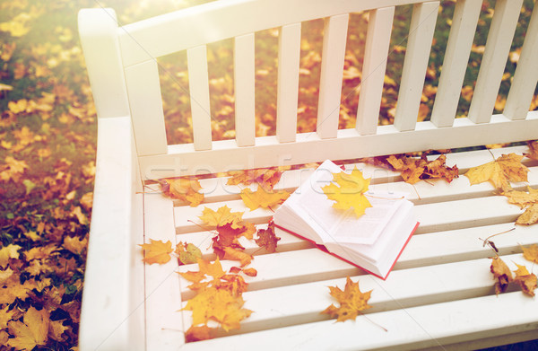 open book on bench in autumn park Stock photo © dolgachov