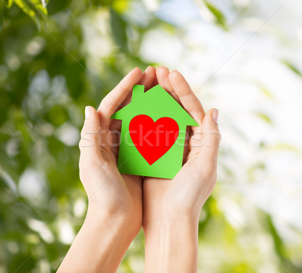 hands holding green paper house Stock photo © dolgachov