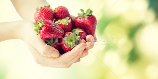 close up of woman hands holding strawberries Stock photo © dolgachov