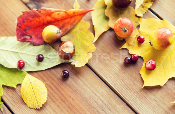 Stok fotoğraf: Sonbahar · yaprakları · meyve · karpuzu · doğa · sezon