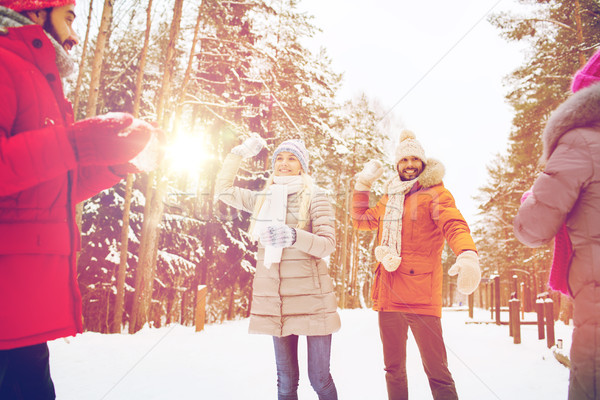 Glücklich Freunde spielen Schneeball Winter Wald Stock foto © dolgachov