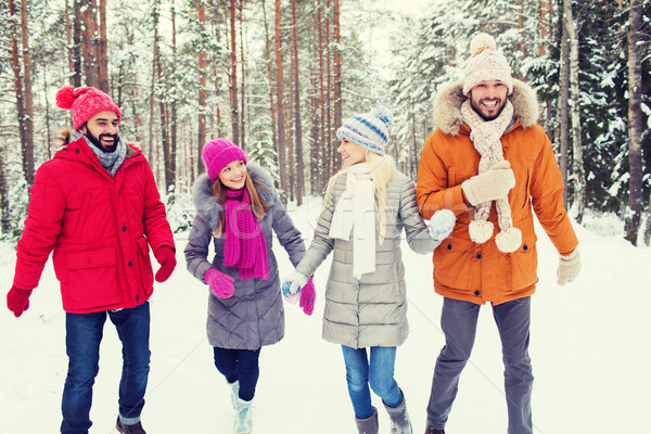 [[stock_photo]]: Groupe · souriant · hommes · femmes · hiver · forêt