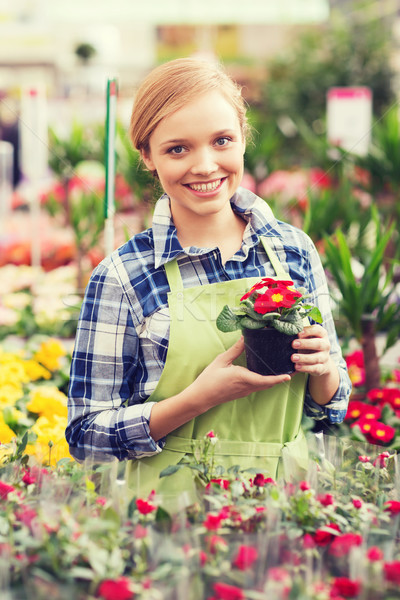 happy woman holding flowers in greenhouse Stock photo © dolgachov