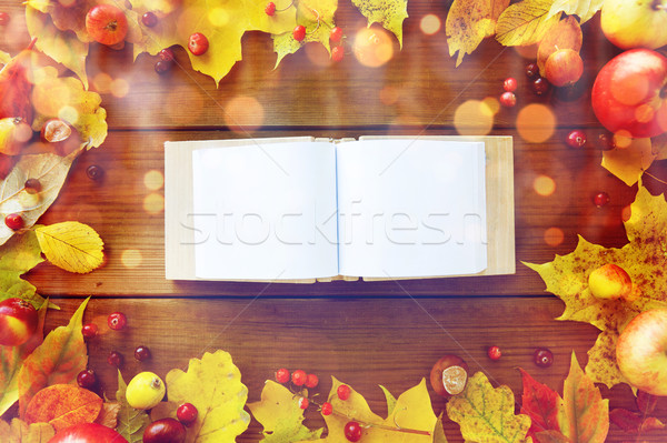 empty book with autumn leaves, fruits and berries Stock photo © dolgachov