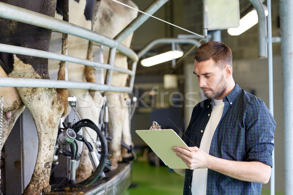 Stock photo: man with clipboard and milking cows on dairy farm