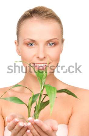 Portret piękna kobieta ostry kobieta Zdjęcia stock © dolgachov