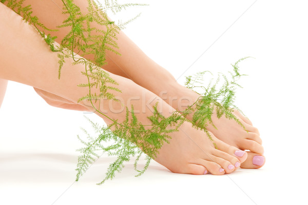 female feet with green plant Stock photo © dolgachov