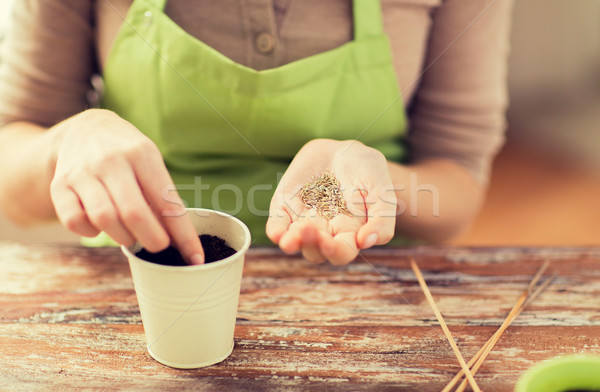 Femme semailles semences sol pot [[stock_photo]] © dolgachov