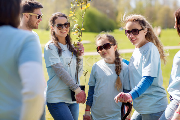 group of volunteers with trees and shovel in park Stock photo © dolgachov