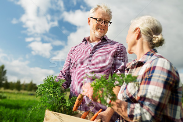 Stock foto: Feld · Karotten · Bauernhof · Landwirtschaft · Gartenarbeit