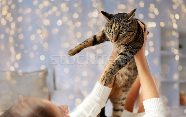 young woman with cat lying in bed at home Stock photo © dolgachov