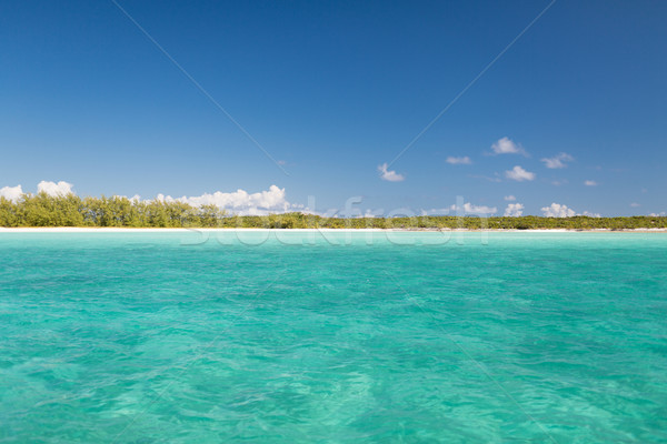 blue sea or ocean, beach and forest Stock photo © dolgachov