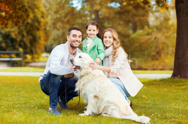 Szczęśliwą rodzinę labrador retriever psa parku rodziny domowych Zdjęcia stock © dolgachov