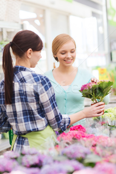 happy women choosing flowers in greenhouse Stock photo © dolgachov